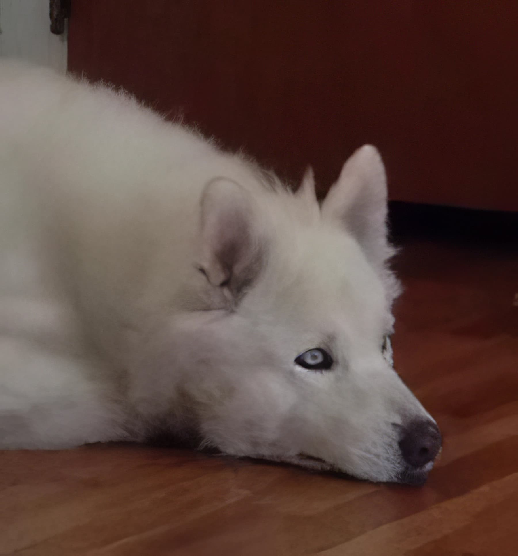 Photo from Nature Man