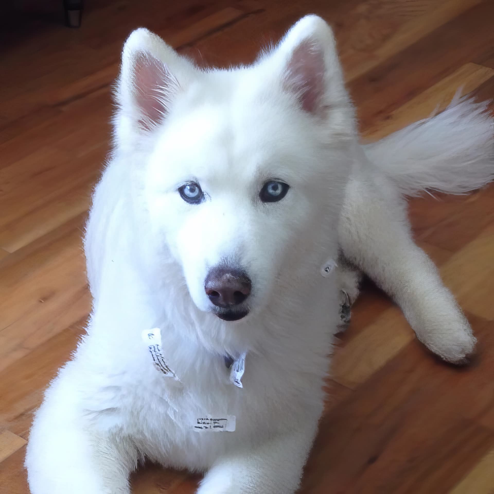 Photo from Nature Man