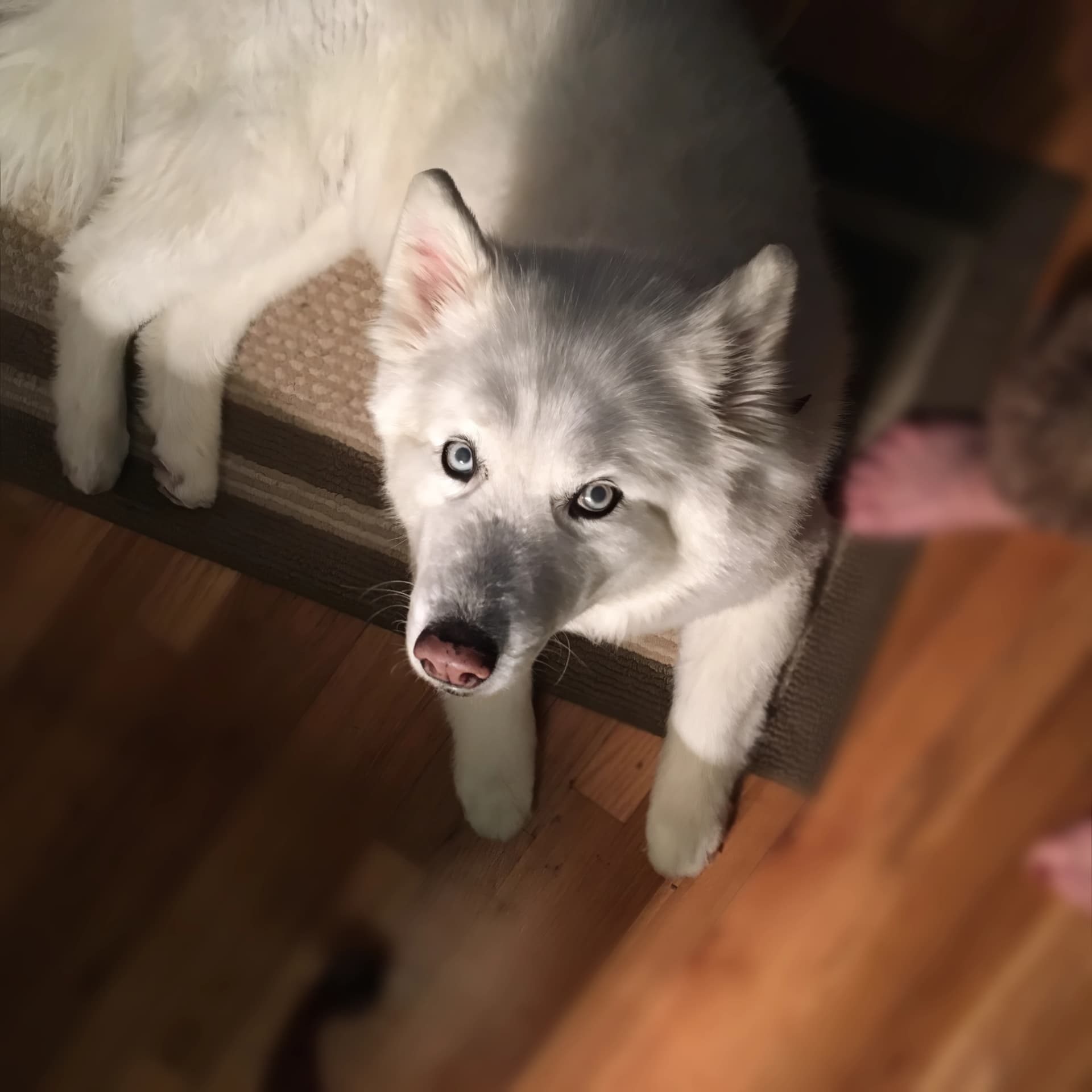 Photo from Nature Man