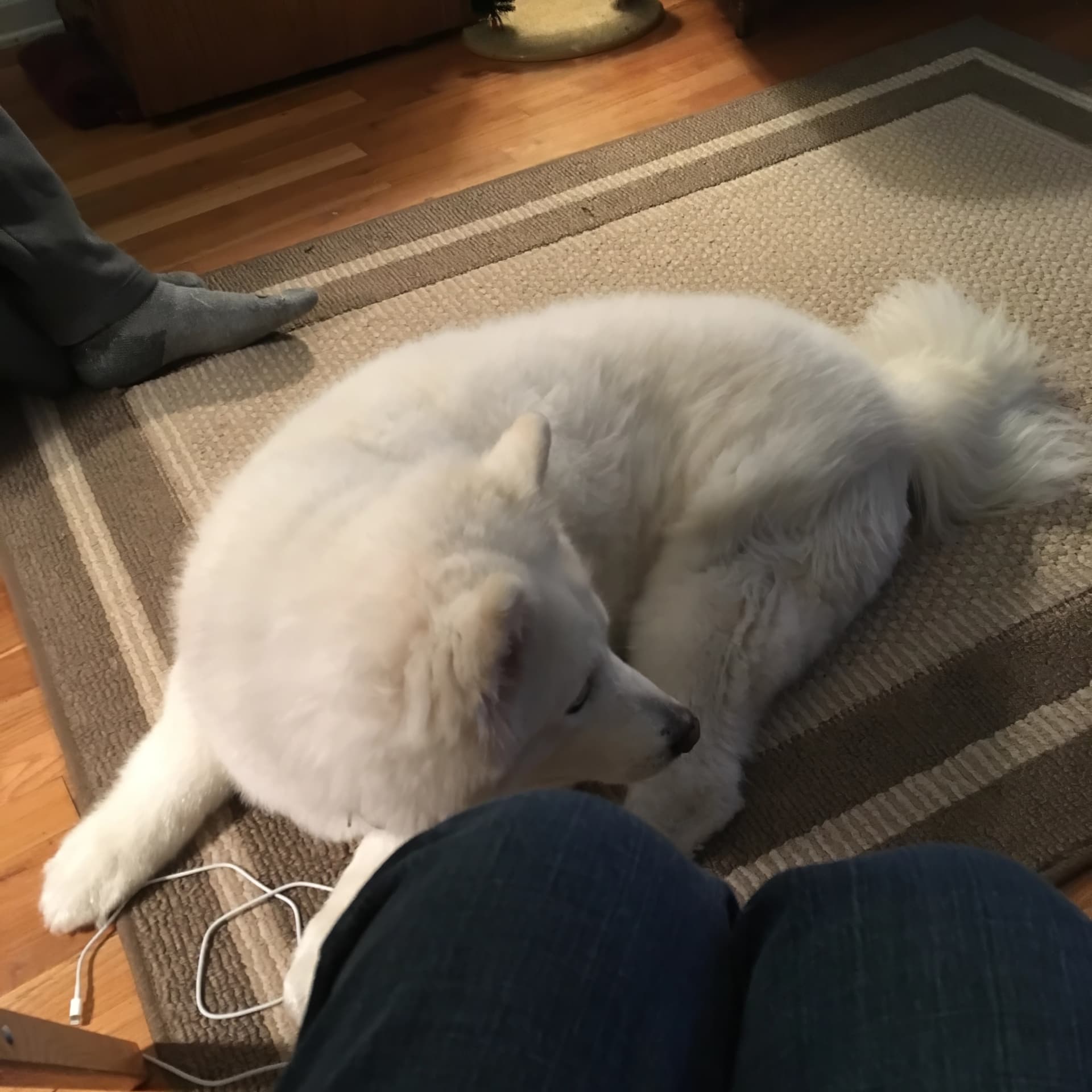 Photo from Nature Man