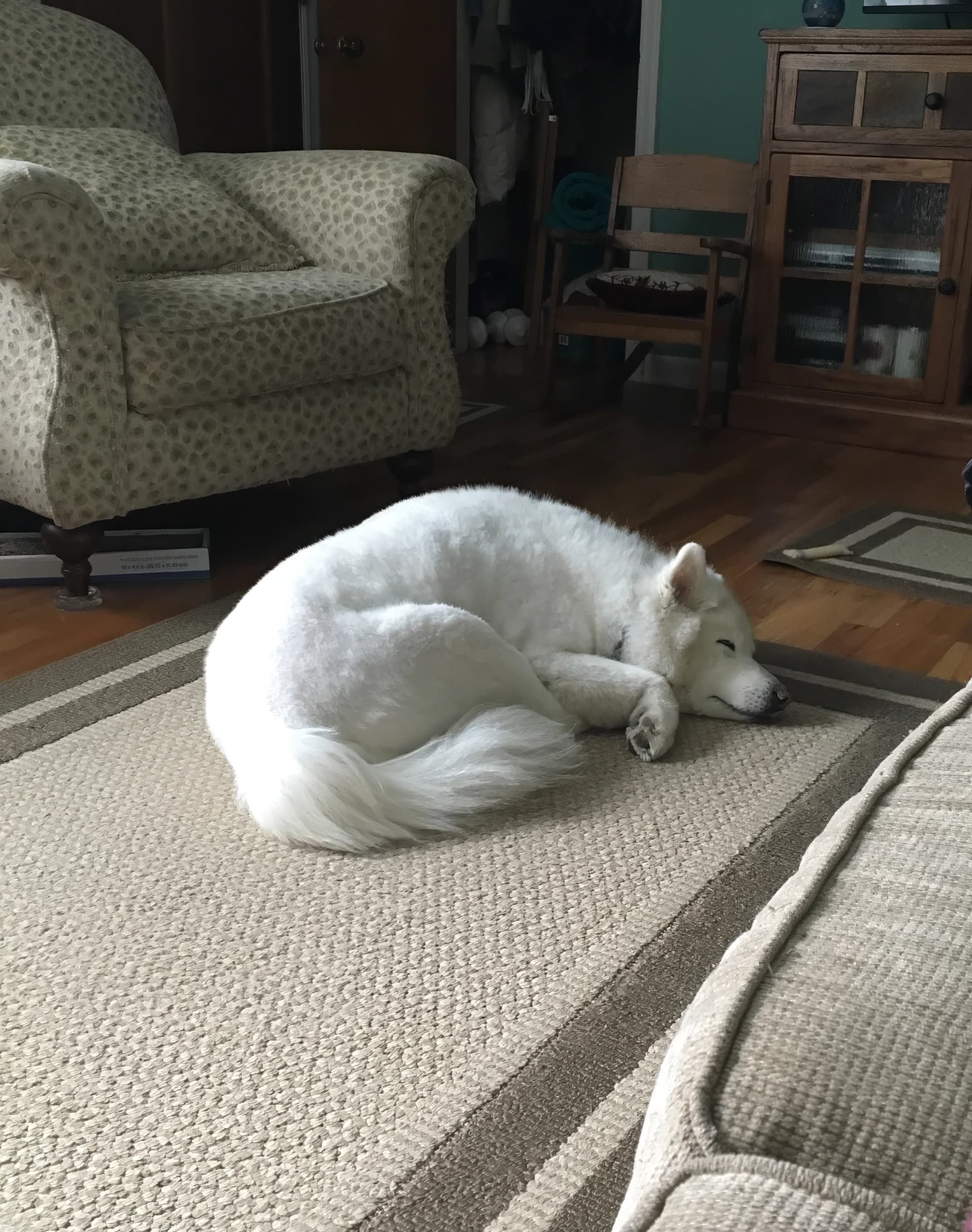 Photo from Nature Man