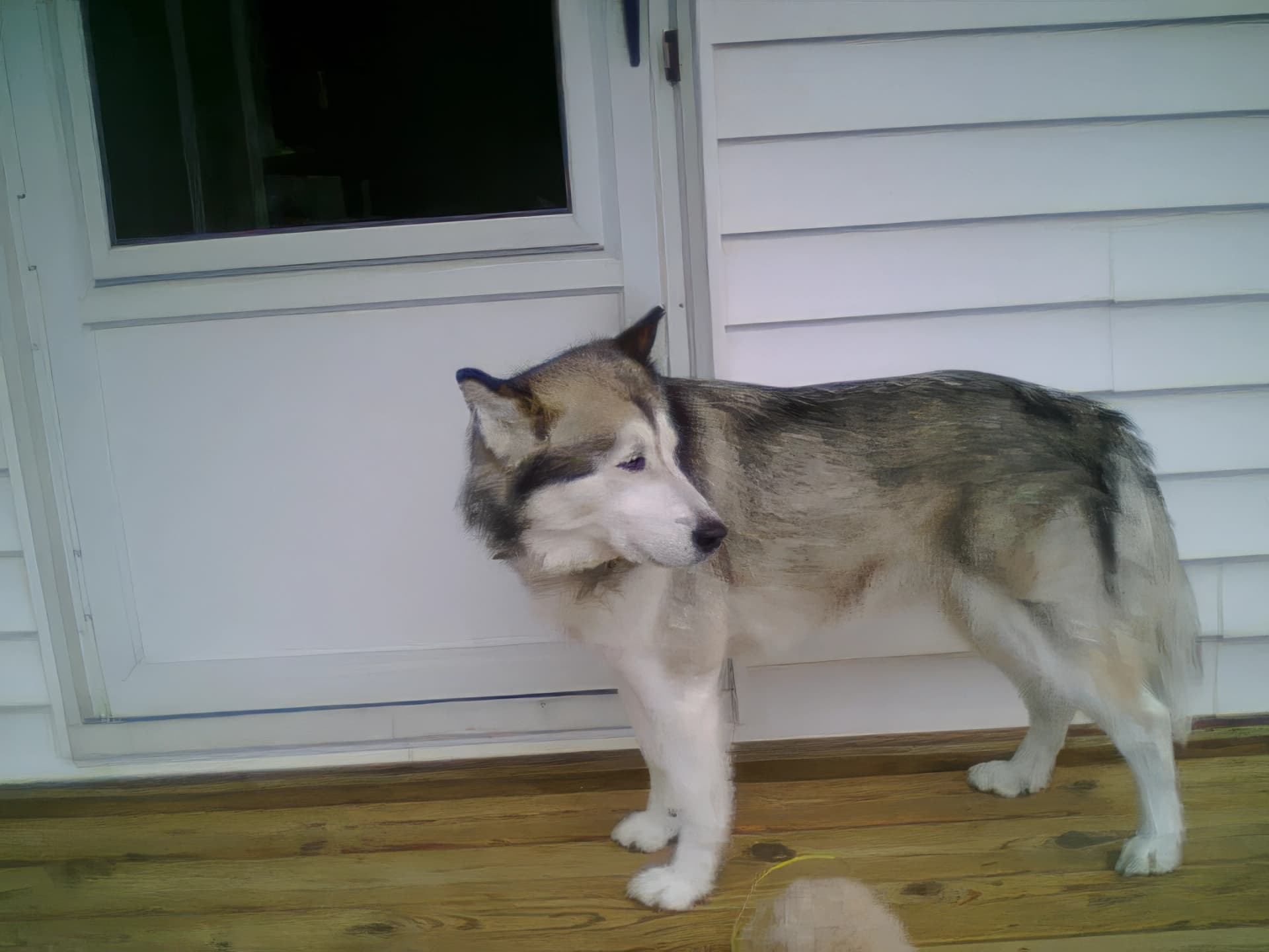 Photo from Nature Man