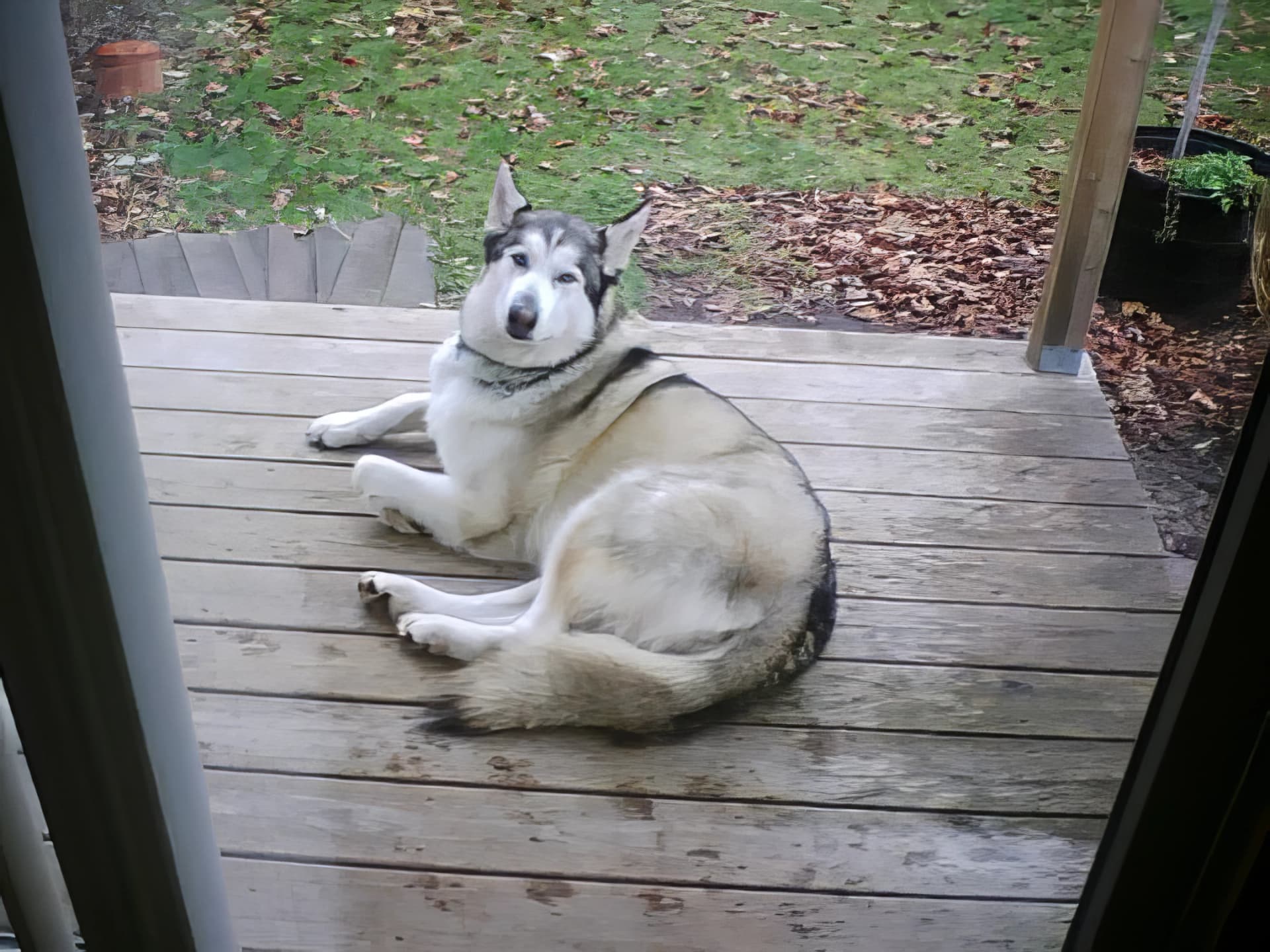 Photo from Nature Man